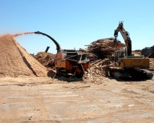skup i sprzedaż biomasy